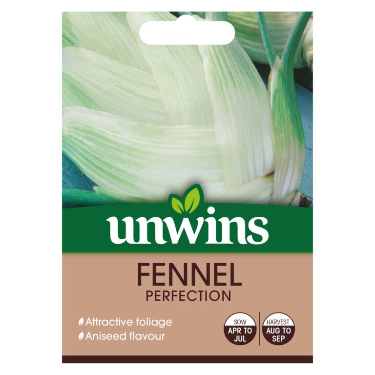 5051618006316 1 Fennel Perfection Seeds.jpg